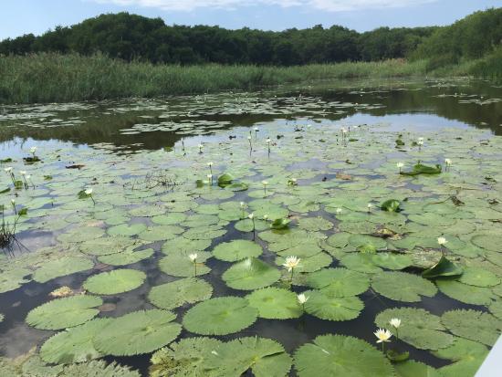 Laguna de Tres Palos